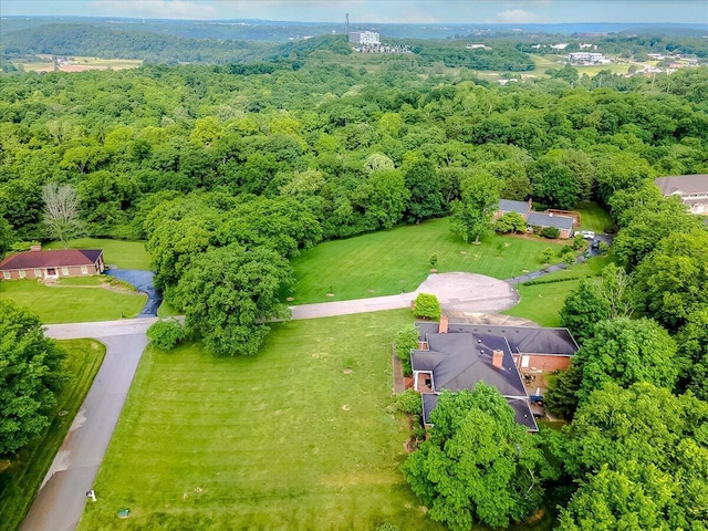 1758 Airdrie Ln, Frankfort, KY 40601 - drone / aerial view of a forest