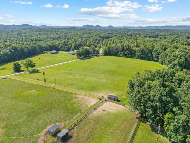1100 Doublegate Rd, Jeffersonville, KY 40337 - overview of rural landscape with a heavily wooded area and a mountainous background