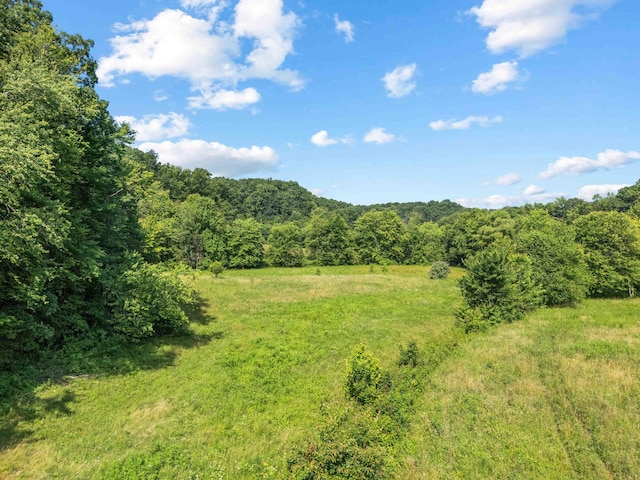 1100 Doublegate Rd, Jeffersonville, KY 40337 - view of tree filled area