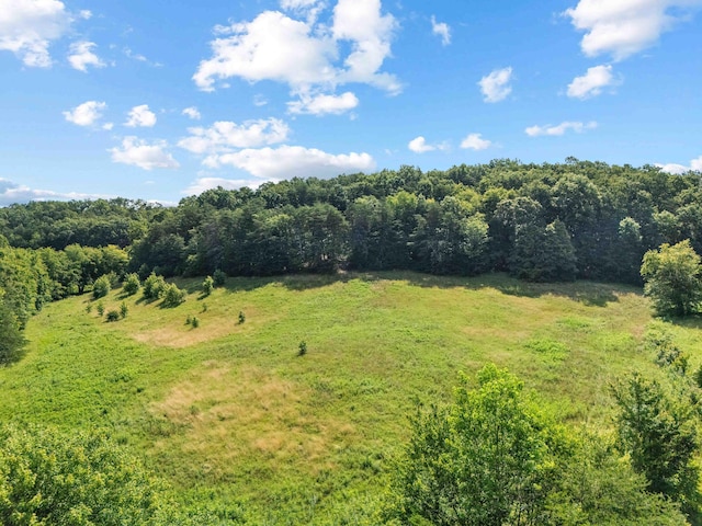 1100 Doublegate Rd, Jeffersonville, KY 40337 - view of yard