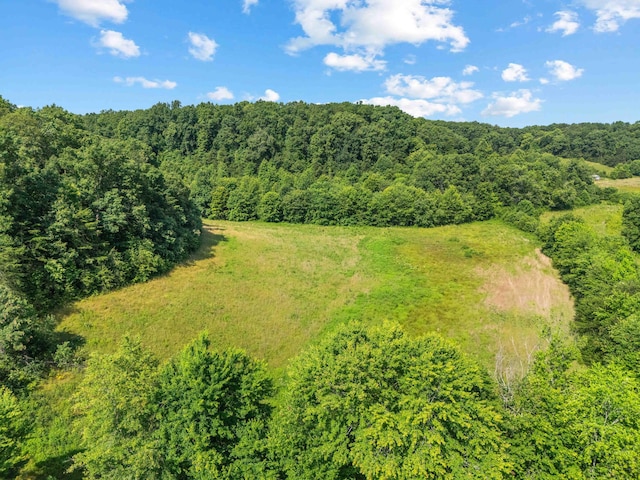 1100 Doublegate Rd, Jeffersonville, KY 40337 - bird's eye view of a heavily wooded area