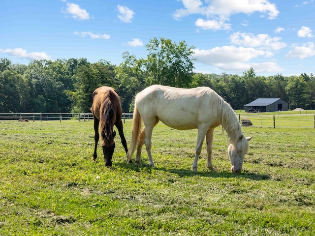1100 Doublegate Rd, Jeffersonville, KY 40337 - stable with a rural view