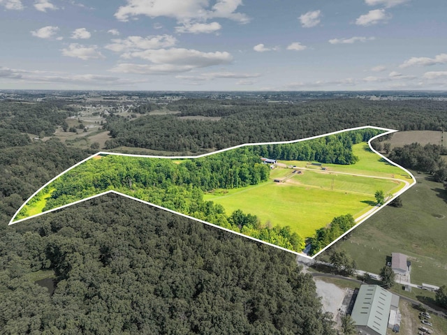 1100 Doublegate Rd, Jeffersonville, KY 40337 - view of property location featuring a forest and property parcel outlined