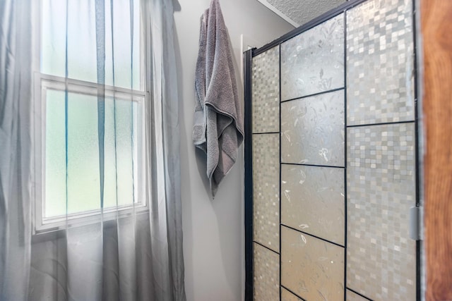 1100 Doublegate Rd, Jeffersonville, KY 40337 - bathroom view of tiled shower