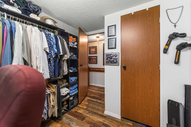 1100 Doublegate Rd, Jeffersonville, KY 40337 - walk in closet with wood finished floors