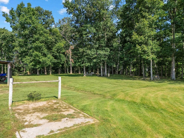 1100 Doublegate Rd, Jeffersonville, KY 40337 - view of green lawn