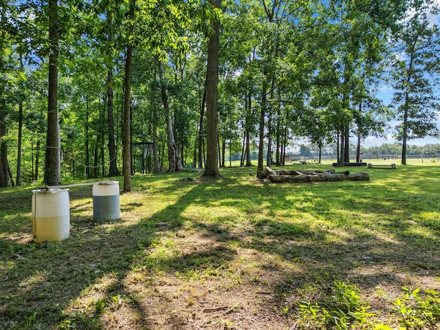 1100 Doublegate Rd, Jeffersonville, KY 40337 - view of grassy yard