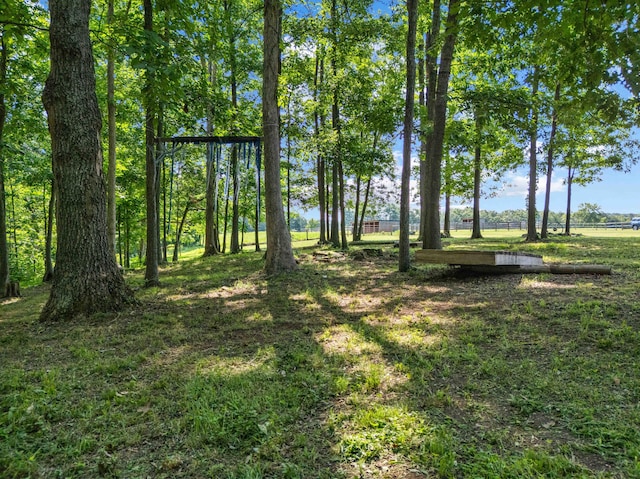 1100 Doublegate Rd, Jeffersonville, KY 40337 - view of green lawn