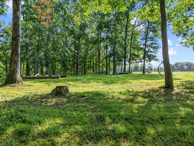 1100 Doublegate Rd, Jeffersonville, KY 40337 - view of grassy yard