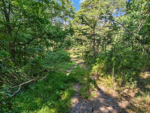 1100 Doublegate Rd, Jeffersonville, KY 40337 - view of tree filled area
