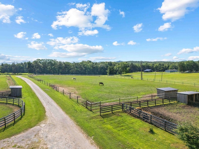 1100 Doublegate Rd, Jeffersonville, KY 40337 - view of dirt / gravel road with a view of rural / pastoral area and an exterior structure