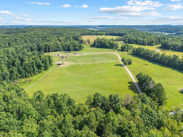 1100 Doublegate Rd, Jeffersonville, KY 40337 - aerial view of sparsely populated area featuring a heavily wooded area