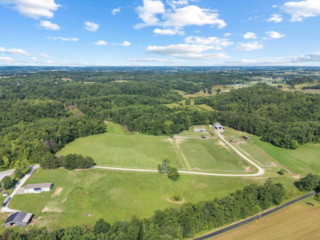 1100 Doublegate Rd, Jeffersonville, KY 40337 - view of property location featuring a heavily wooded area and rural landscape