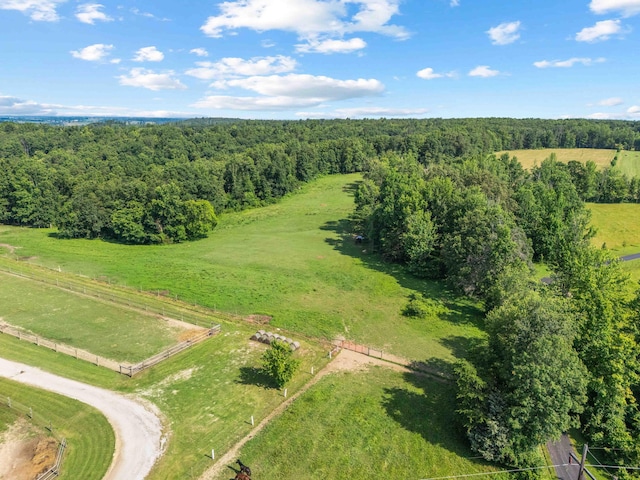 1100 Doublegate Rd, Jeffersonville, KY 40337 - overview of rural landscape with a heavily wooded area