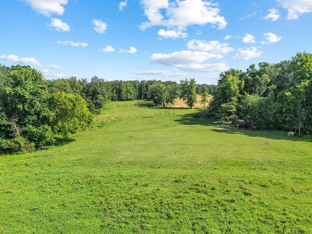 1100 Doublegate Rd, Jeffersonville, KY 40337 - view of green lawn