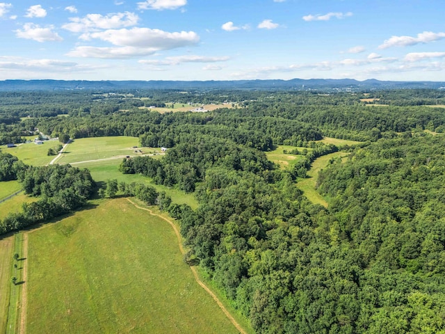 1100 Doublegate Rd, Jeffersonville, KY 40337 - bird's eye view of a forest and a mountainous background