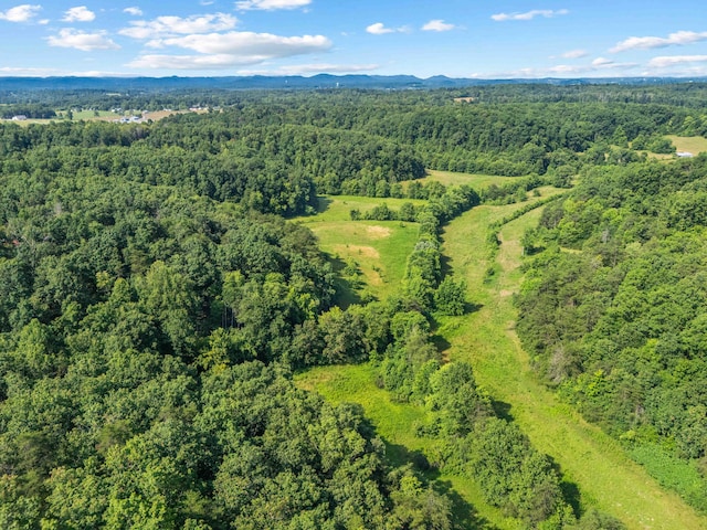 1100 Doublegate Rd, Jeffersonville, KY 40337 - aerial view of a heavily wooded area and mountains