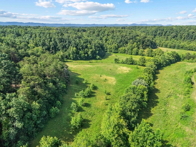 1100 Doublegate Rd, Jeffersonville, KY 40337 - aerial view of mountains