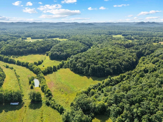 1100 Doublegate Rd, Jeffersonville, KY 40337 - bird's eye view of mountains and a heavily wooded area