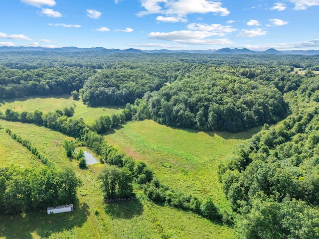 1100 Doublegate Rd, Jeffersonville, KY 40337 - aerial view of a mountainous background