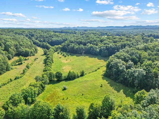 1100 Doublegate Rd, Jeffersonville, KY 40337 - aerial view of a mountainous background and a forest