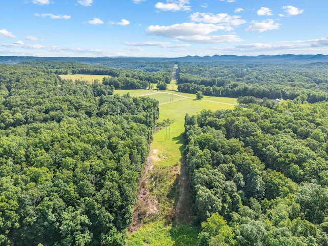 1100 Doublegate Rd, Jeffersonville, KY 40337 - bird's eye view of a heavily wooded area and a mountainous background
