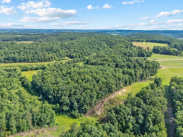 1100 Doublegate Rd, Jeffersonville, KY 40337 - bird's eye view of a forest