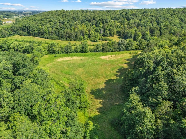 1100 Doublegate Rd, Jeffersonville, KY 40337 - aerial view of property's location featuring a heavily wooded area