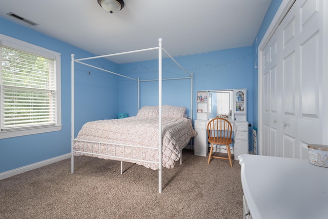 5045 Mccowans Ferry Rd, Versailles, KY 40383 - bedroom featuring carpet flooring and a closet