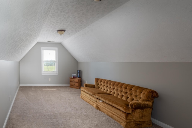 5045 Mccowans Ferry Rd, Versailles, KY 40383 - sitting room featuring vaulted ceiling, carpet, and a textured ceiling