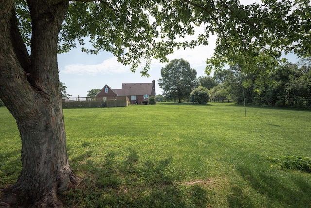 5045 Mccowans Ferry Rd, Versailles, KY 40383 - view of yard