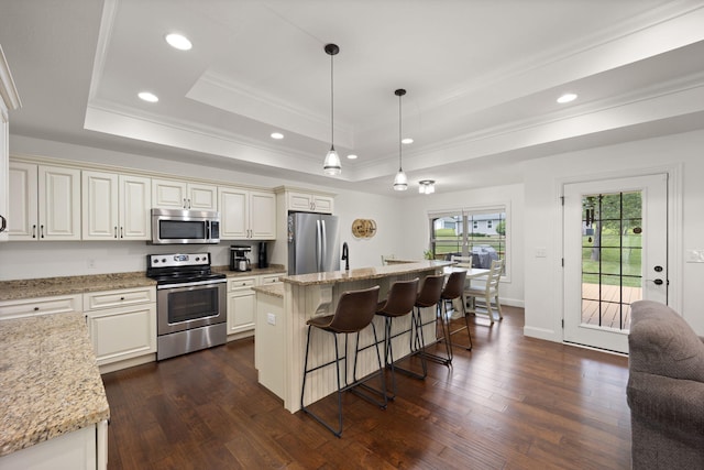 477 Barrington Dr, Somerset, KY 42503 - kitchen featuring stainless steel appliances, ornamental molding, a tray ceiling, a breakfast bar area, and dark wood-style flooring