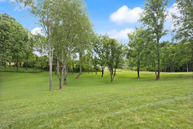 477 Barrington Dr, Somerset, KY 42503 - view of grassy yard featuring view of scattered trees