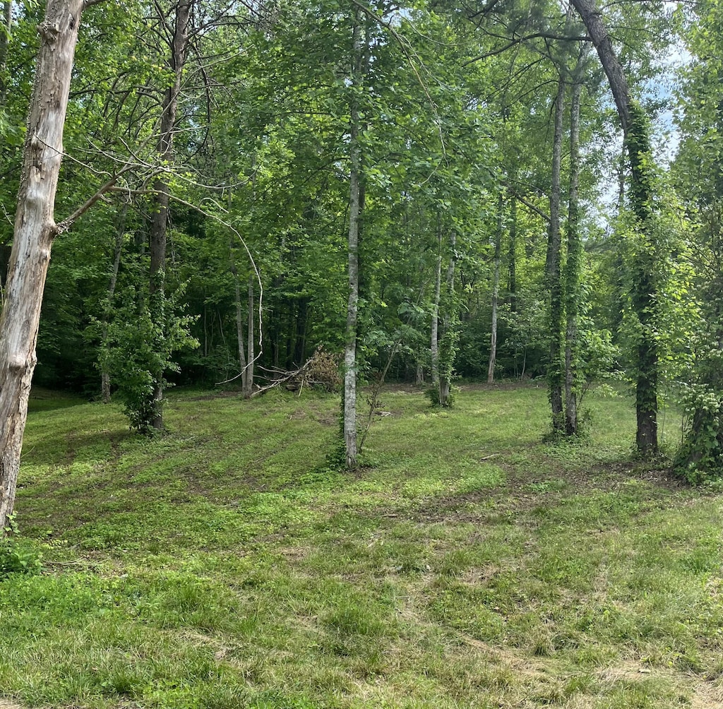 150 Spring Hill Cir, Somerset, KY 42501