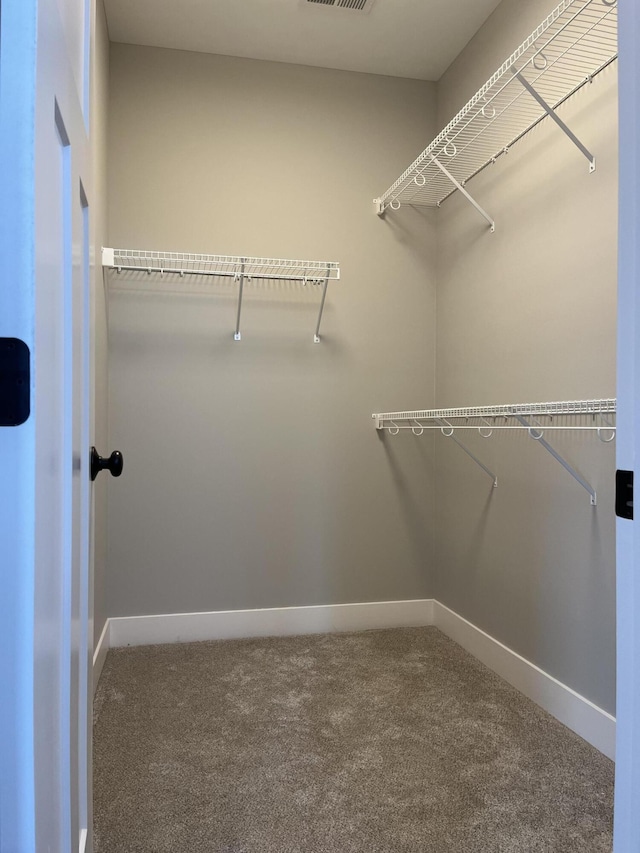 108 Aetna, Georgetown, KY 40324 - walk in closet featuring carpet