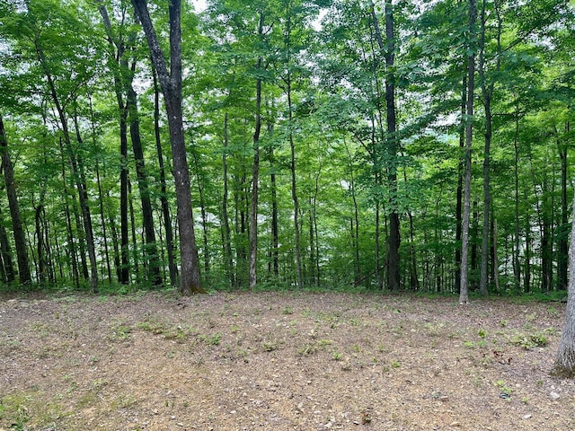 449 Johns Rd, Jabez, KY 42544 - view of tree filled area