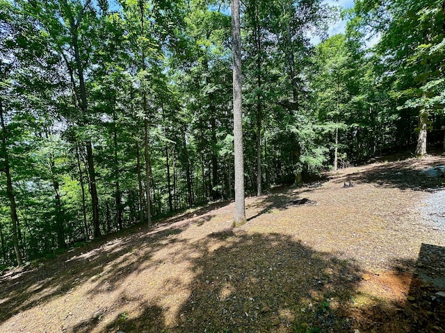 449 Johns Rd, Jabez, KY 42544 - view of yard with a forest view