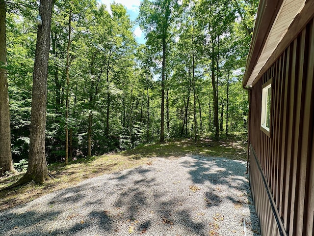 449 Johns Rd, Jabez, KY 42544 - view of road