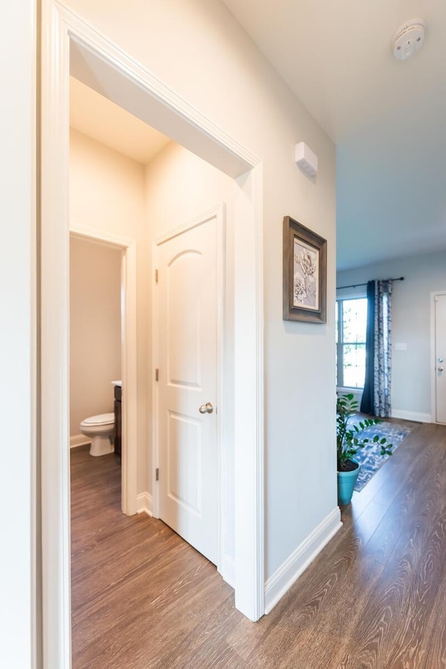 126 Mollie Way, Georgetown, KY 40324 - hall with wood finished floors and baseboards