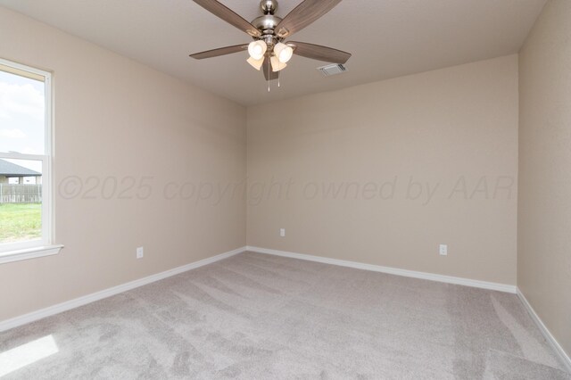 10101 Cocklebur Ln, Amarillo, TX 79119 - photo 27