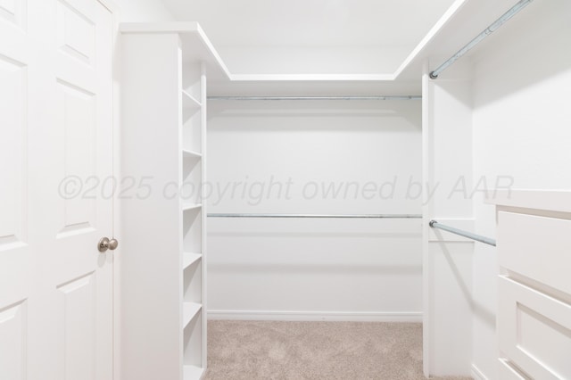 10101 Cocklebur Ln, Amarillo, TX 79119 - photo 20