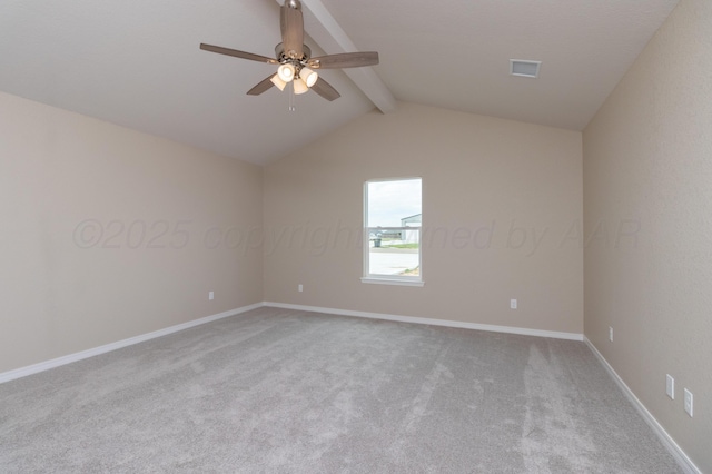 10101 Cocklebur Ln, Amarillo, TX 79119 - photo 14