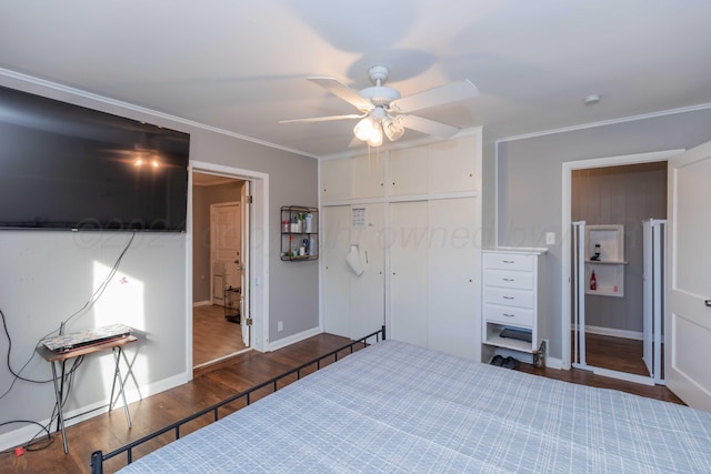 bedroom featuring ceiling fan, crown molding, a closet, and dark hardwood / wood-style flooring