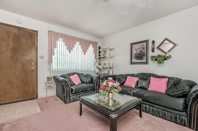 view of carpeted living area