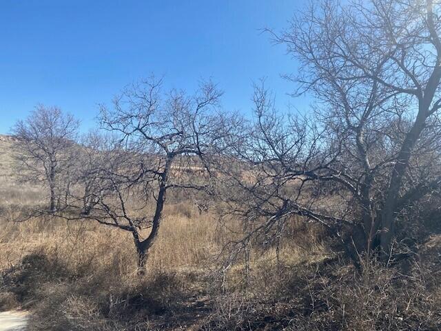 6200 W Country Club Rd, Canyon, TX 79015 - photo 9