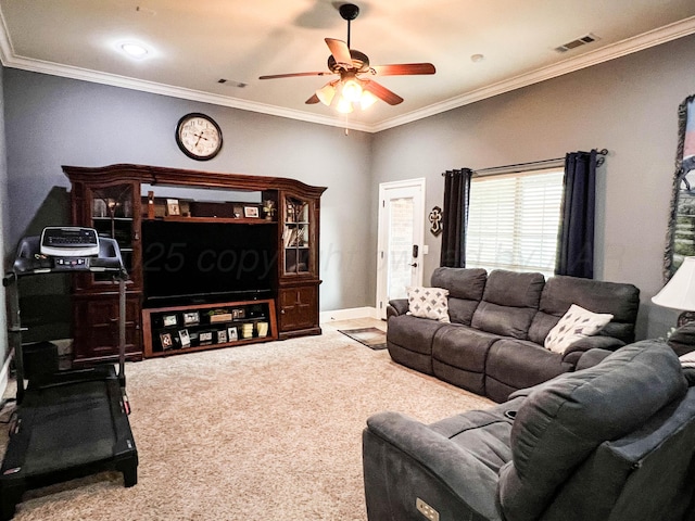 7507 Continental Pkwy, Amarillo, TX 79119 - living area featuring a ceiling fan, carpet flooring, and crown molding