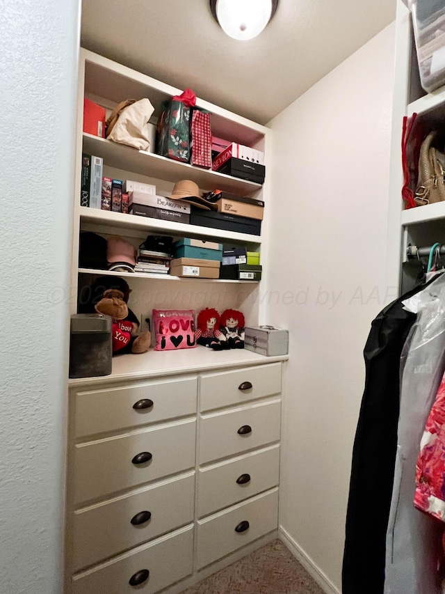 7507 Continental Pkwy, Amarillo, TX 79119 - view of walk in closet
