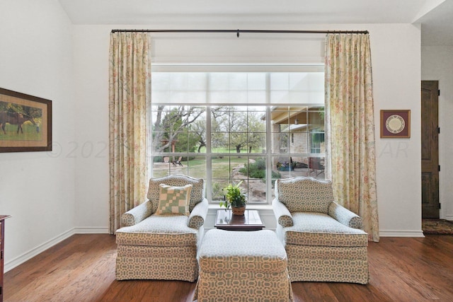 sitting room featuring hardwood / wood-style floors