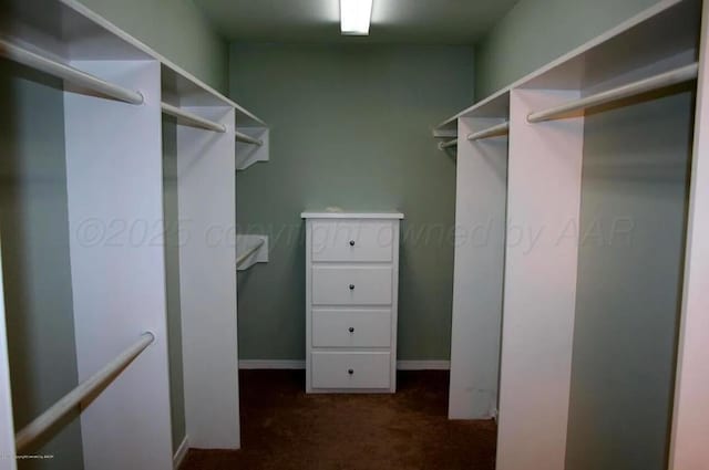 spacious closet featuring dark colored carpet