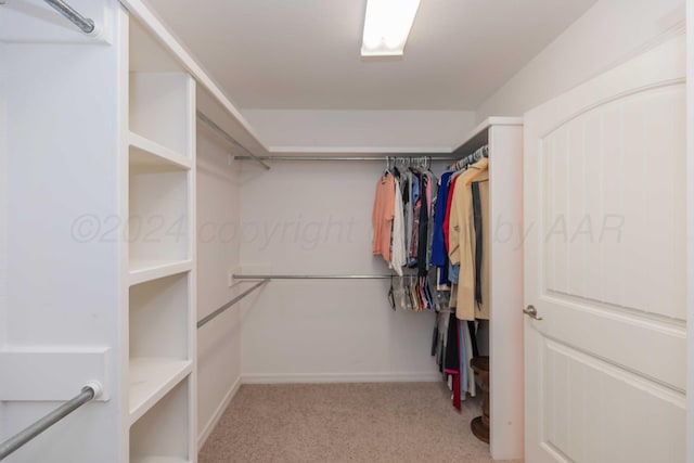 6701 Mosley St, Amarillo, TX 79119 - walk in closet with light colored carpet